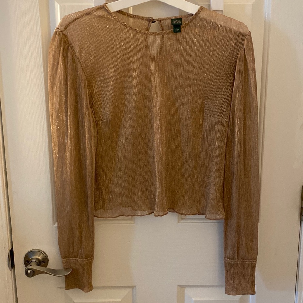 Sheer blouse